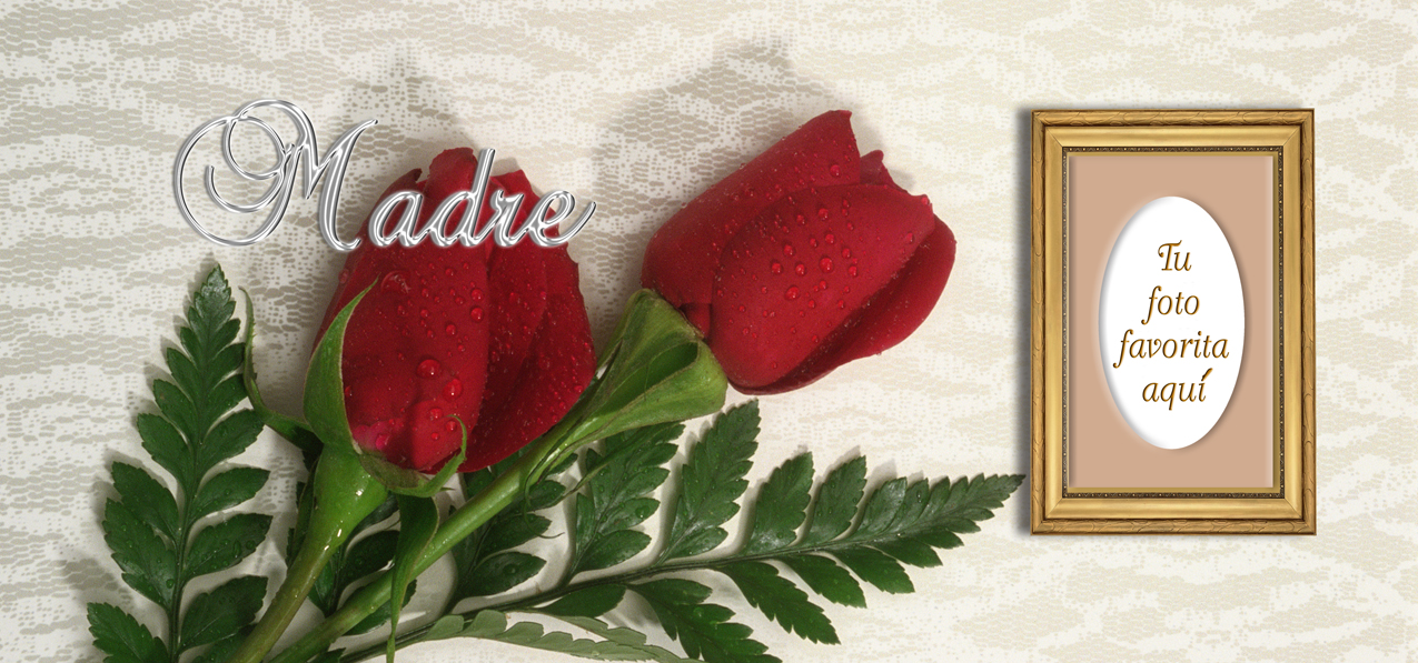 2 Roses Red Silver Madre (Spanish)